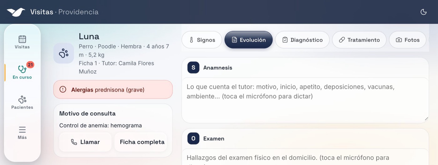 Atención en terreno en la app